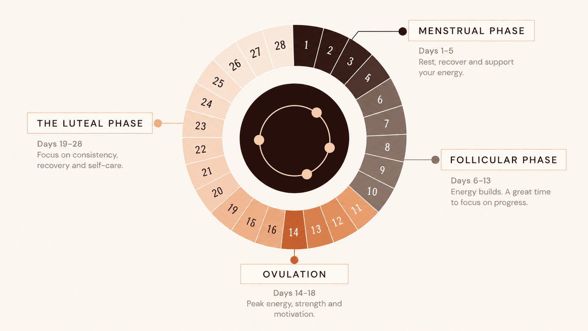 Calendar illustration of a menstrual cycle
